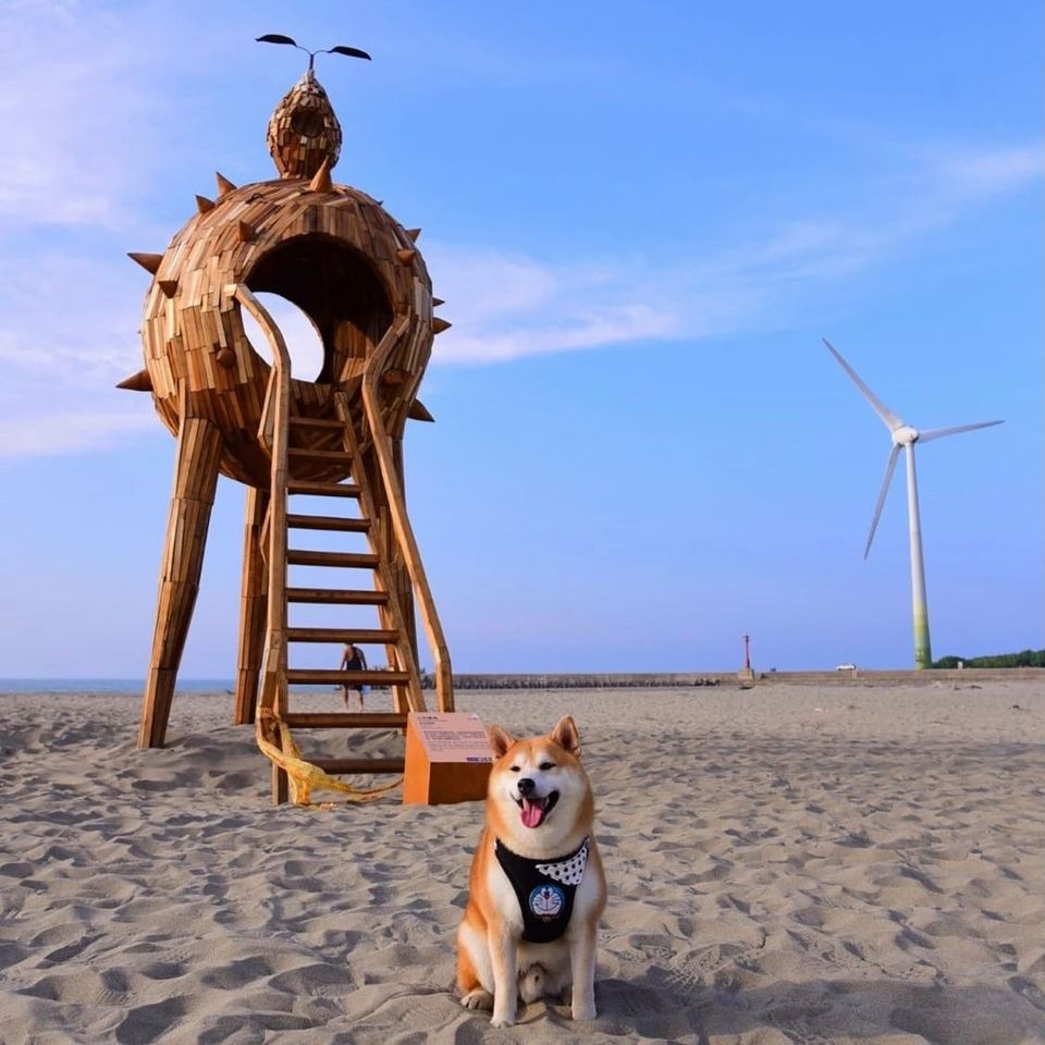 苗南海景藝術節