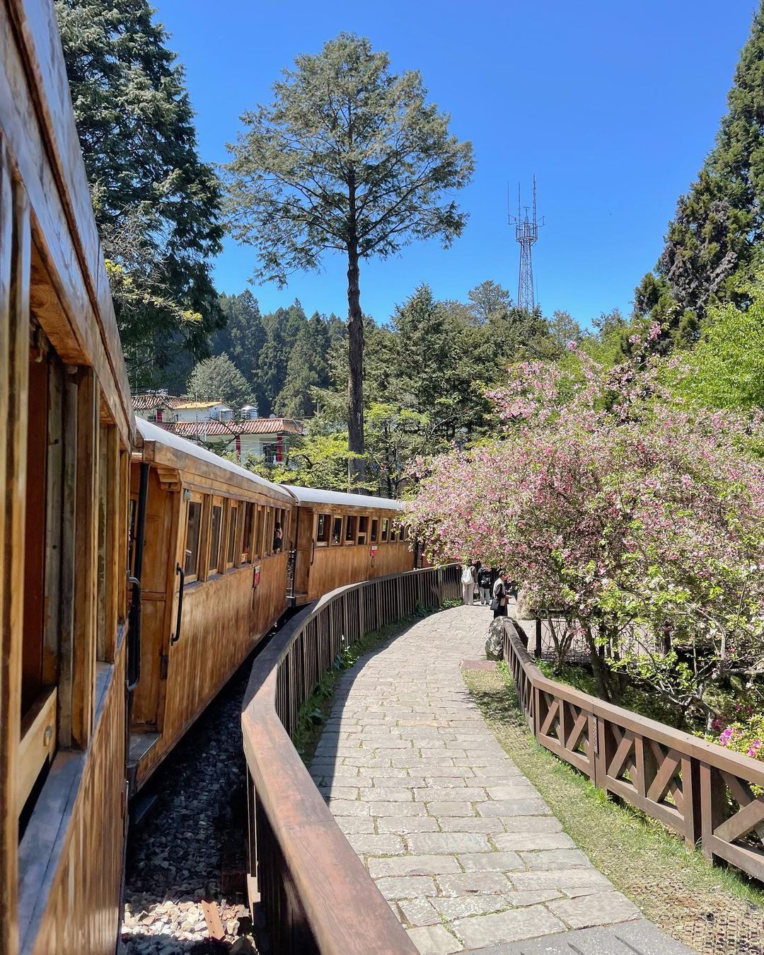 阿里山沼平車站