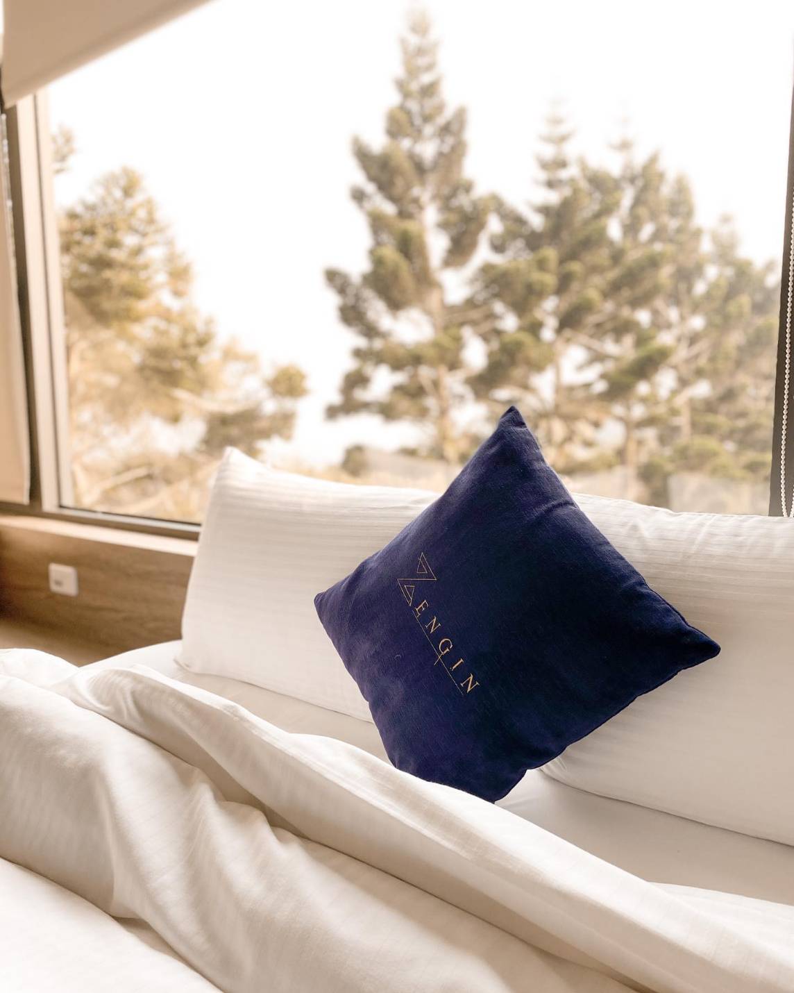 然井茗露 x 阿里山霧很濃