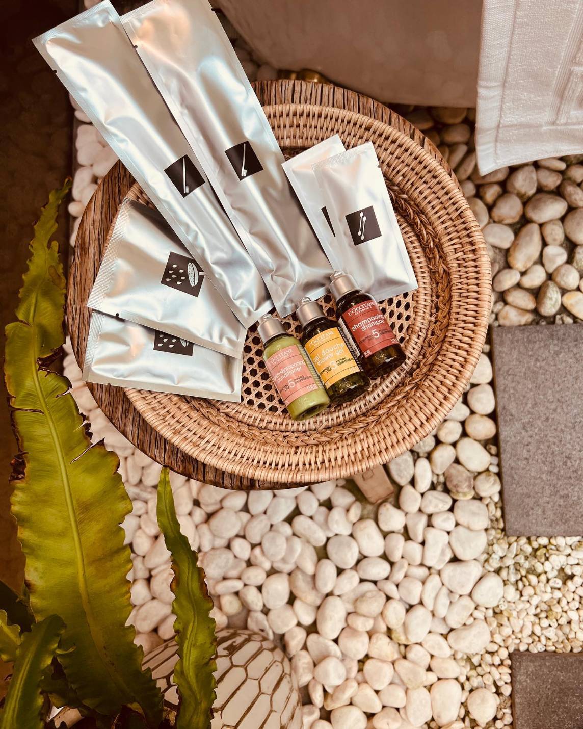 靡生 Maison Bohe'me